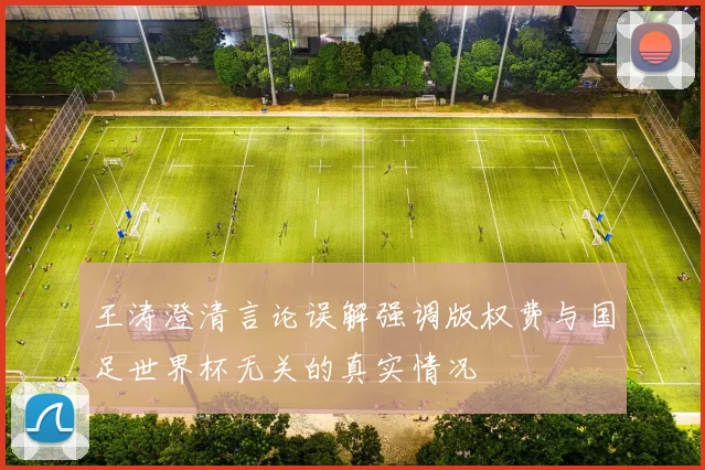 王涛澄清言论误解强调版权费与国足世界杯无关的真实情况