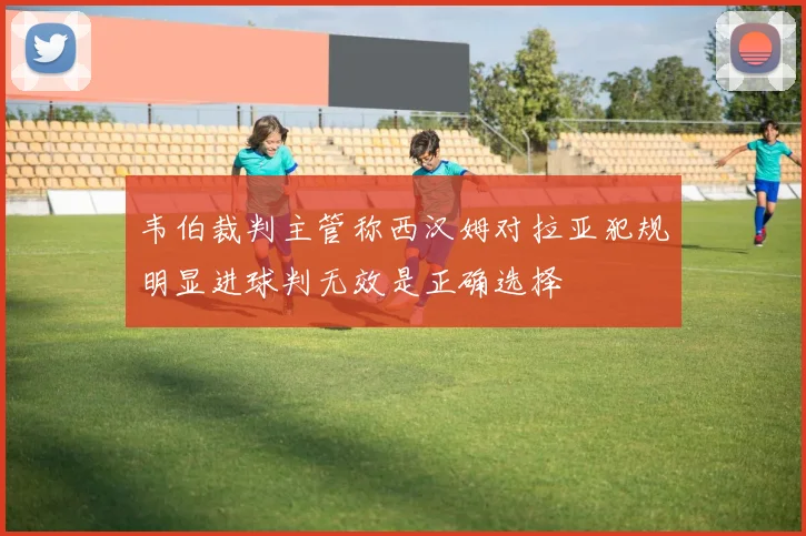 韦伯裁判主管称西汉姆对拉亚犯规明显进球判无效是正确选择