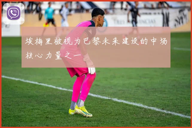 埃梅里被视为巴黎未来建设的中场核心力量之一